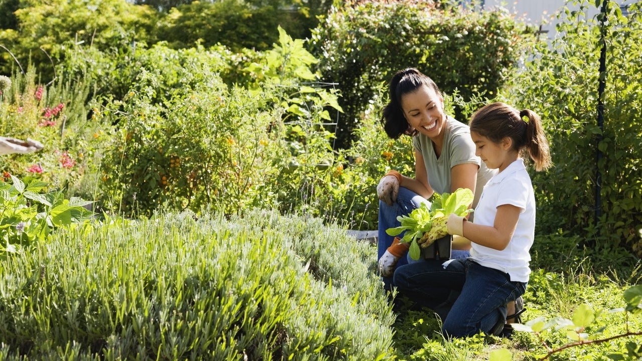 Gardening