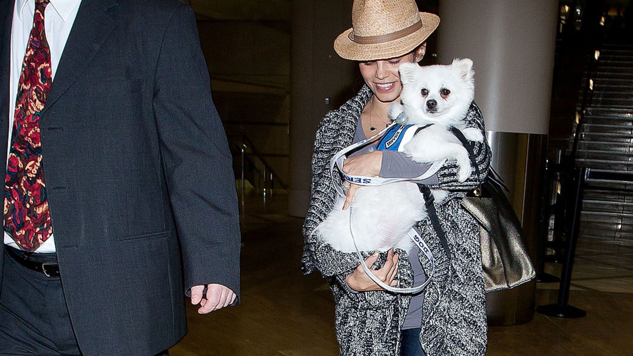 Jenna Dewan holds Meeka while walking through the Los Angeles International Airport in a photo from 2013