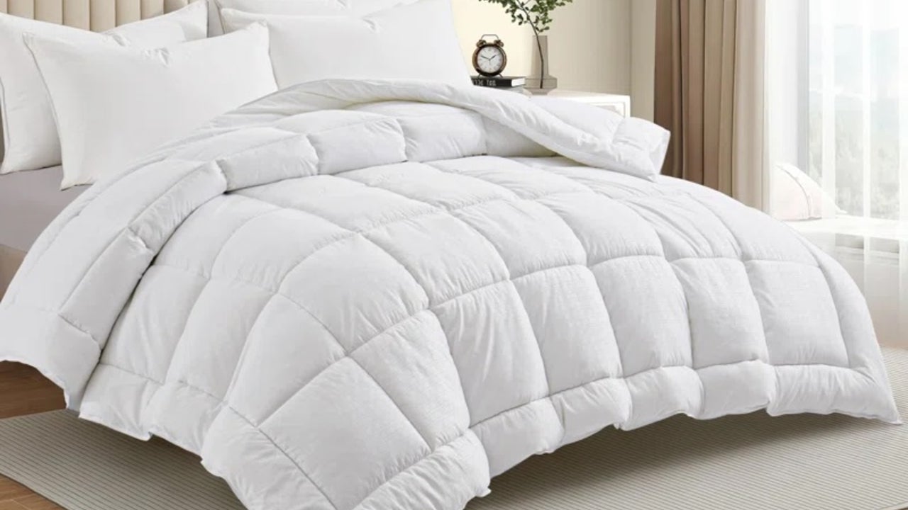 Wayfair Comforter