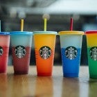 starbucks cups