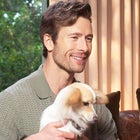 Glen Powell's Dog Brisket Takes Over His 'Hit Man' Interview (Exclusive) 