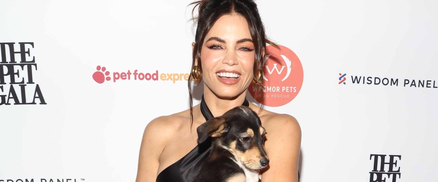 Paws Up! Celebs Show Off Their Precious Pets | Entertainment Tonight