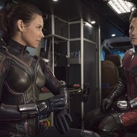 Ant-Man and the Wasp, Evangeline Lily, Paul Rudd