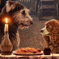 Lady And The Tramp