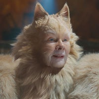 Judi Dench, Cats