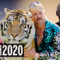 2020 in Movies and TV