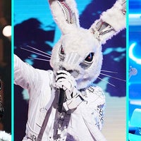 'The Masked Singer' Stars Revealed! - 1920