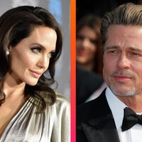 Brad Pitt Sues Angelina Jolie for Selling Their Winery to Russian Oligarch