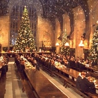 Harry Potter Holiday Gifts