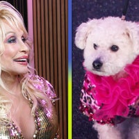 Dolly Parton Brings Her Passion for Pups to TV! Inside Her Pet Gala