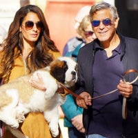 See George Clooney's Surprise Birthday Gift for Wife Amal