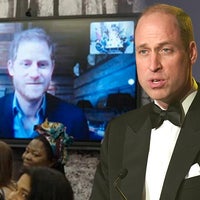 Prince William and Prince Harry Separately Attend Award Ceremony Dedicated to Mother Diana