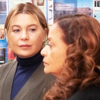 'Grey's Anatomy': Why Ellen Pompeo Returned for Season 20 Premiere