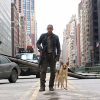 i am legend will smith