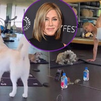 Watch Jennifer Aniston's Dog Interrupt Her Grueling Workout