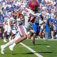 South Carolina Gamecocks