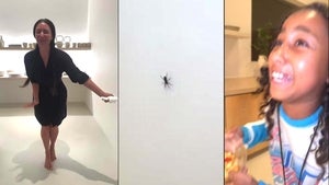 Watch Kim Kardashian and North West Freak Out After Spider Interrupts Their TikTok 