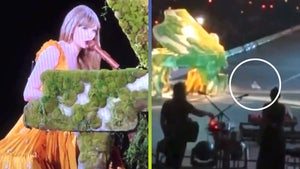 Watch Taylor Swift React to Fan Throwing an Object Onstage in Argentina