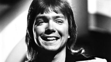 Brian Wilson, Rick Springfield and More Stars React to the Death of David Cassidy