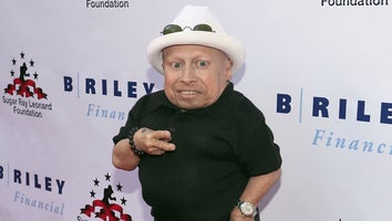 Verne Troyer Reportedly Placed on Involuntary Psychiatric Hold