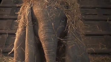 ‘Dumbo’ Comes to Life in First Magical Teaser Trailer for Tim Burton's Live-Action Movie