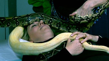 This Is What It's Like to Get the Celebrity-Approved Snake Massage (Exclusive)