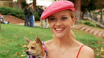 ‘Legally Blonde 3’: Everything We Know About Elle Woods’ Return