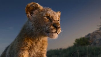 Barry Jenkins Will Direct a Photorealistic Follow-up to Disney's 'The Lion King'