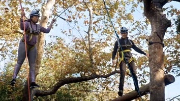 Phoebe Robinson Is 'Truly Terrified' While Taking on a Ropes Course with Kevin Bacon