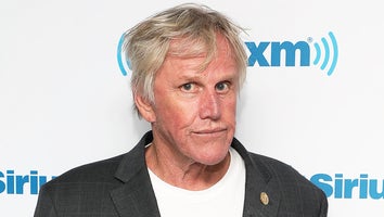 Gary Busey Arrested in New Jersey on 3 Counts of Sex Crimes