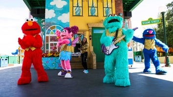 Sesame Place Announces Diversity, Inclusion Initiative Following Accusations of Racism