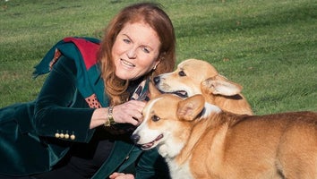 Sarah Ferguson Gives Update on Queen Elizabeth's Corgis on 1st Anniversary of Her Death