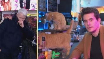 Anderson Cooper Loses It on Live TV During John Mayer's Unexpected Cat Cafe Cameo 