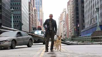 i am legend will smith