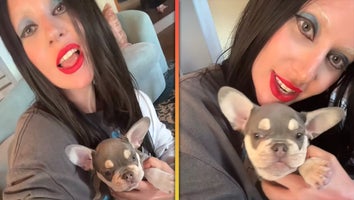 Lady Gaga Welcomes New Puppy 3 Years After Dognapping Case