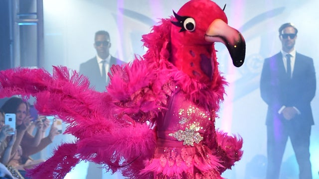 Who Is the Eagle in 'The Masked Singer' Season 2? Clues Point to This Rock  Star