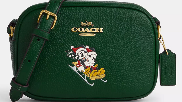COACH Disney Mickey, Minnie, Goofy Shoulder Bag New from Disney Shop Japan  | eBay