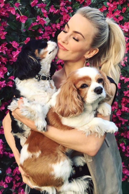 Julianne Hough dogs