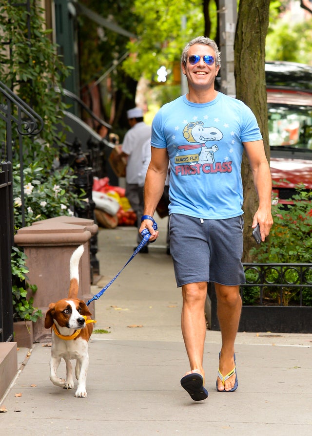 Andy Cohen and dog Wacha in NYC