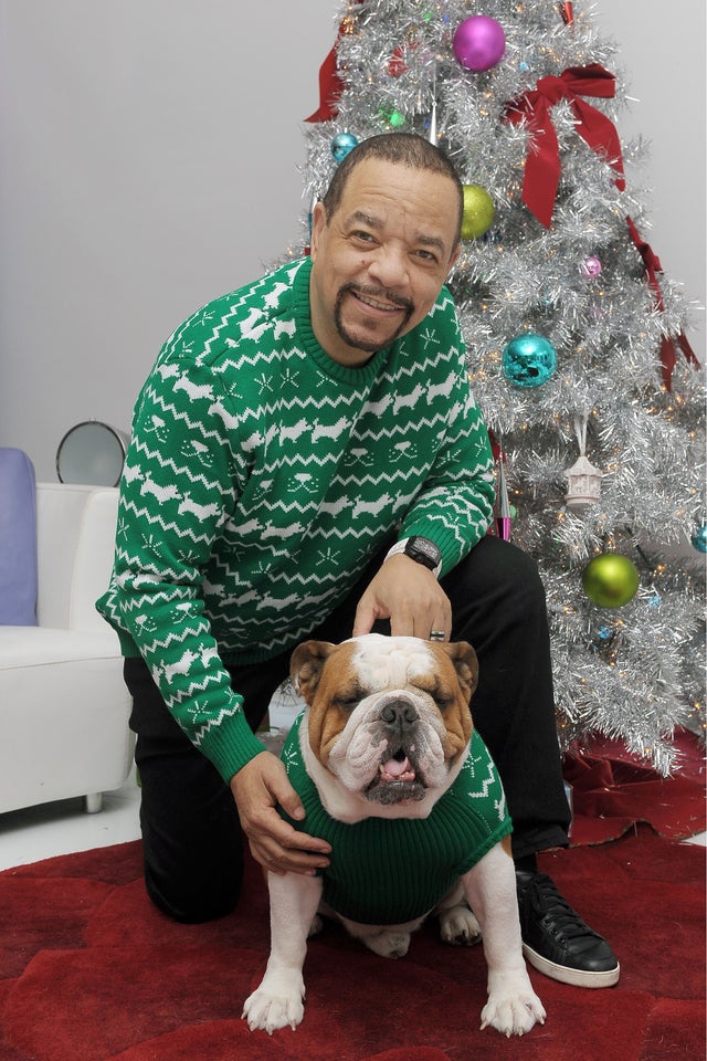 Ice-T and dog in matching Christmas sweaters