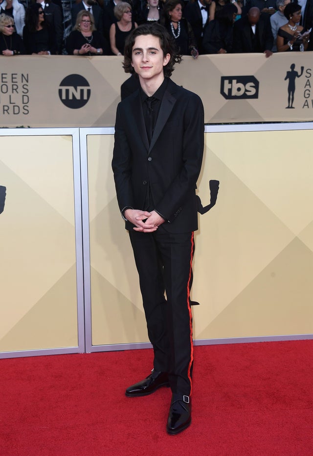 Timothee Chalamet at 2018 SAG Awards