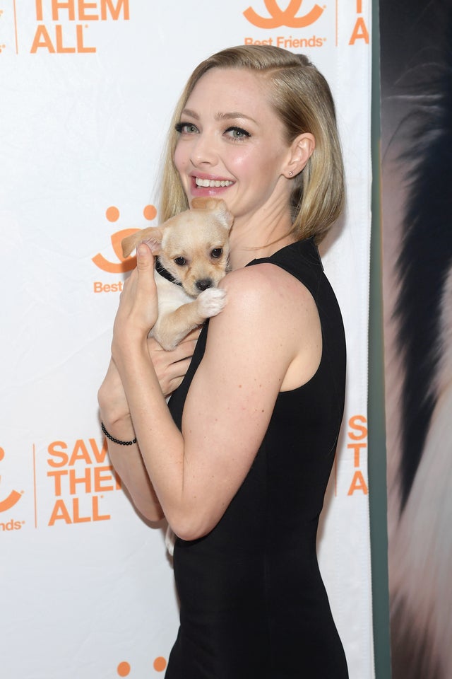 Amanda Seyfried with dog