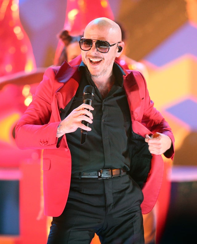 Pitbull