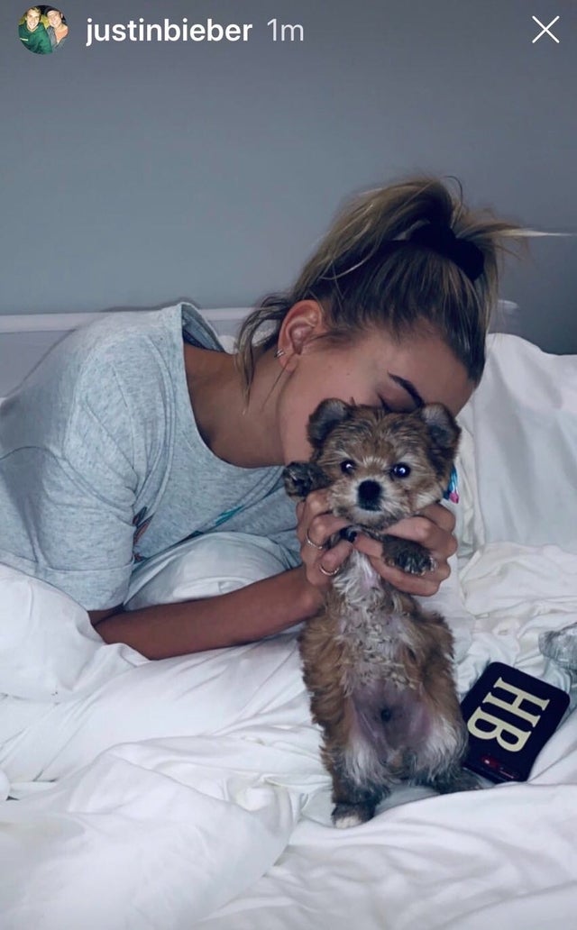 Hailey Baldwin with dog