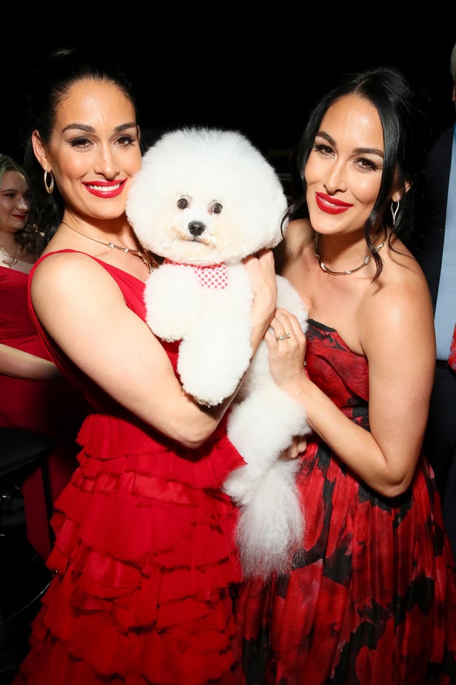 Bella twins at The American Heart Association's Go Red for Women Red Dress Collection 2019 runway