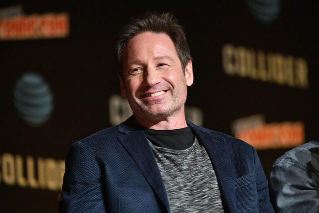 David Duchovny in 2017