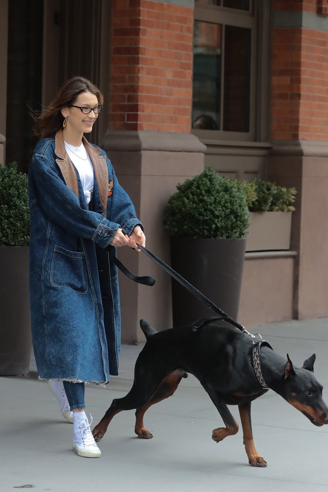 Bella Hadid walks the weeknd's dog