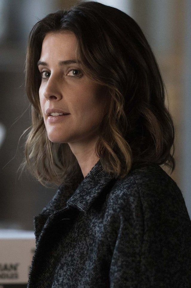 untitled cobie smulders/stumptown abc show