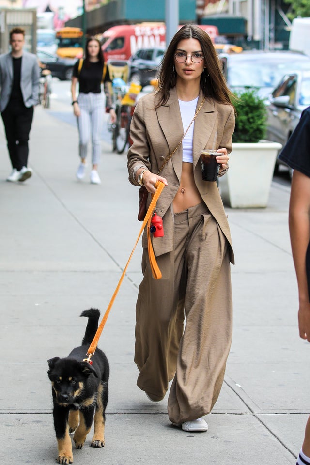 Emily Ratajkowski walks her dog in NYC on june 3