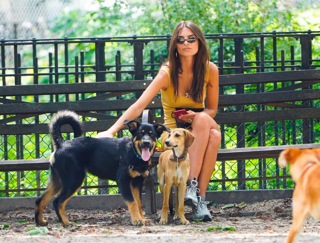 Emily Ratajkowski at dog park